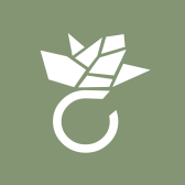 Amoonic logo