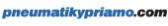 Pneumatikypriamo logo
