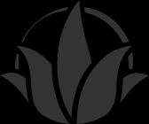 Verapur logo